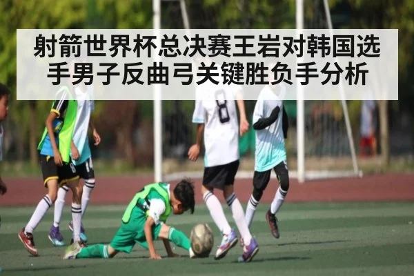 射箭世界杯总决赛王岩对韩国选手男子反曲弓关键胜负手分析